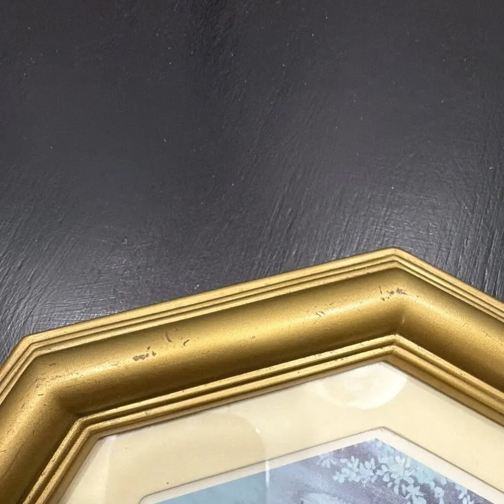 Vintage Gold Ornate Octagon Hanging Photo Frame 10” hexagon Swan Theme Landscape